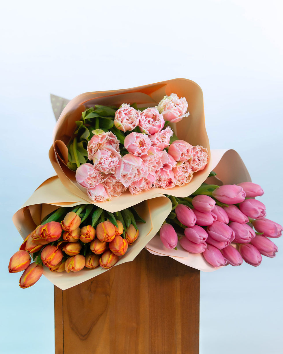 Tulip Wrap – Brisbane Market Flowers